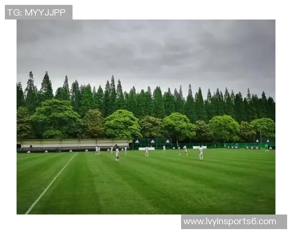 崇明岛足球基地助力青少年成长与足球文化传播新篇章